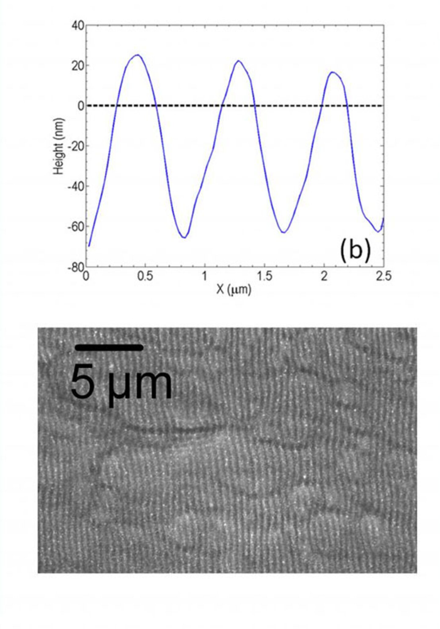 Graph with blue wave pattern above a grayscale microscopic image with a scale bar marked 5 µm.